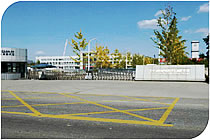 欧美成人tv在线观看免费