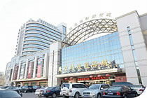 欧美成人tv在线观看免费