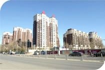 欧美成人tv在线观看免费