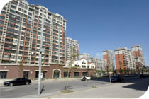 欧美成人tv在线观看免费