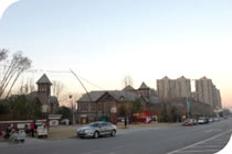 欧美成人tv在线观看免费