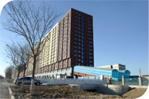 欧美成人tv在线观看免费