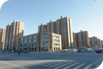 欧美成人tv在线观看免费