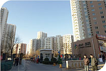 欧美成人tv在线观看免费