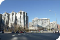 欧美成人tv在线观看免费