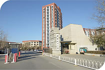 欧美成人tv在线观看免费