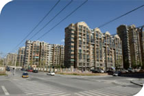 欧美成人tv在线观看免费