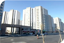 欧美成人tv在线观看免费