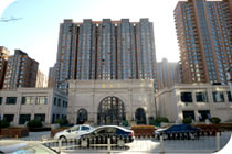 欧美成人tv在线观看免费